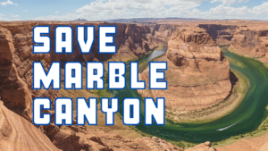 5 Front image of a blog titled " Save Marble Canyon sign today" with a Marble Canyon in the background