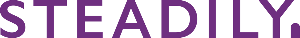 Mars Surface 4 Steadily word logo on a transparent background